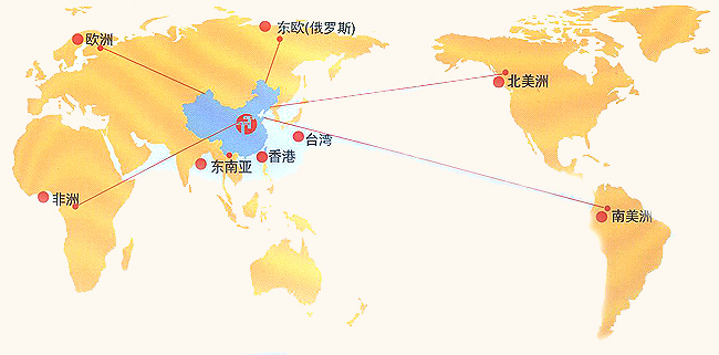 国际营销网络